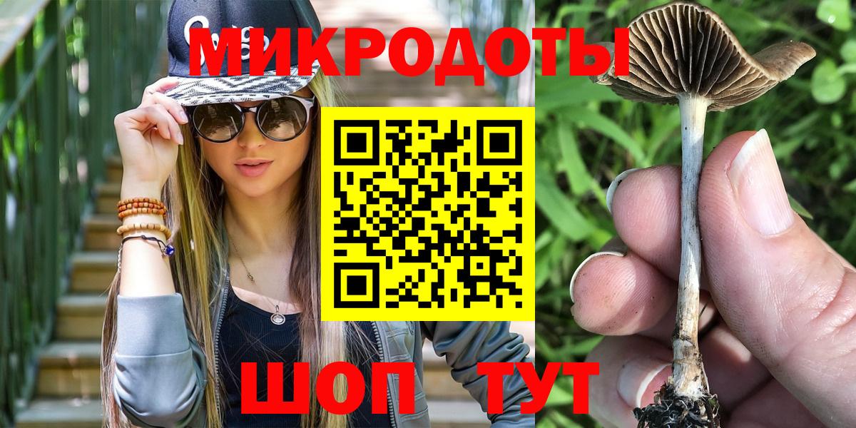 Елец  Галлюциногенные грибы Psilocybine cubensis  Вход с VPN 